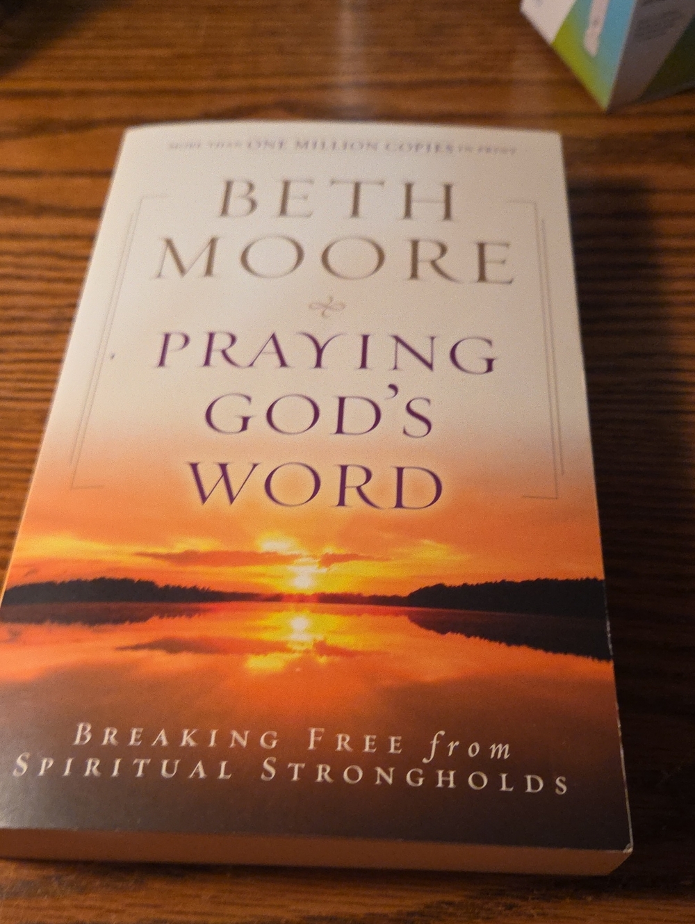 Praying Gods Word Book